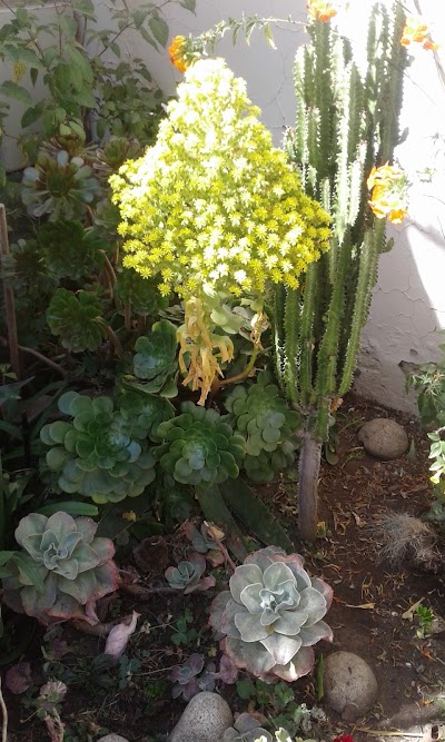 Photos of Bolognia Garden