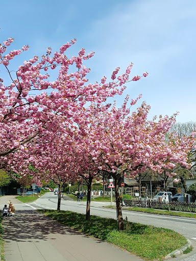 Eingang zum Ohlsdorfer Friedhof - Thumbnail