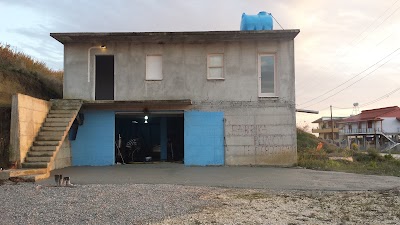 Photos of Divjaka-Karavasta National Park