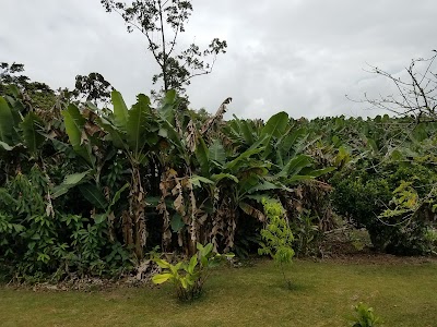 Photos of Los Titos Coffee Farm