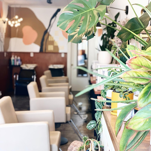 Salon Clover - Visual