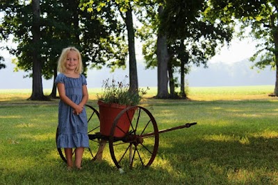 Tomahawk Farms Land Services: FERTILIZING, OVERSEEDING, Grading, mowing, bushhoging - Centreville, MD ,