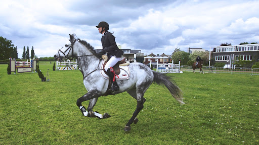 Froghill Tack Logo