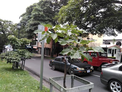 Photos of Embassy of Mexico