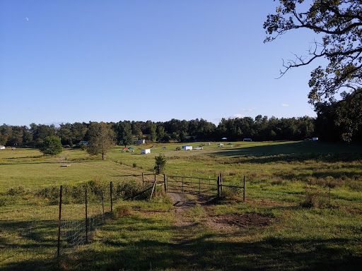 The Blue; Zip Line and Farm - Thumbnail