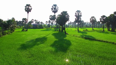 Photos of Champa Lodge