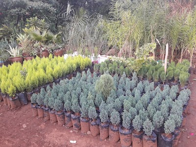 Photos of Flowerland Tree Nursery