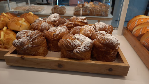 Breadtop Sunshine - Visual