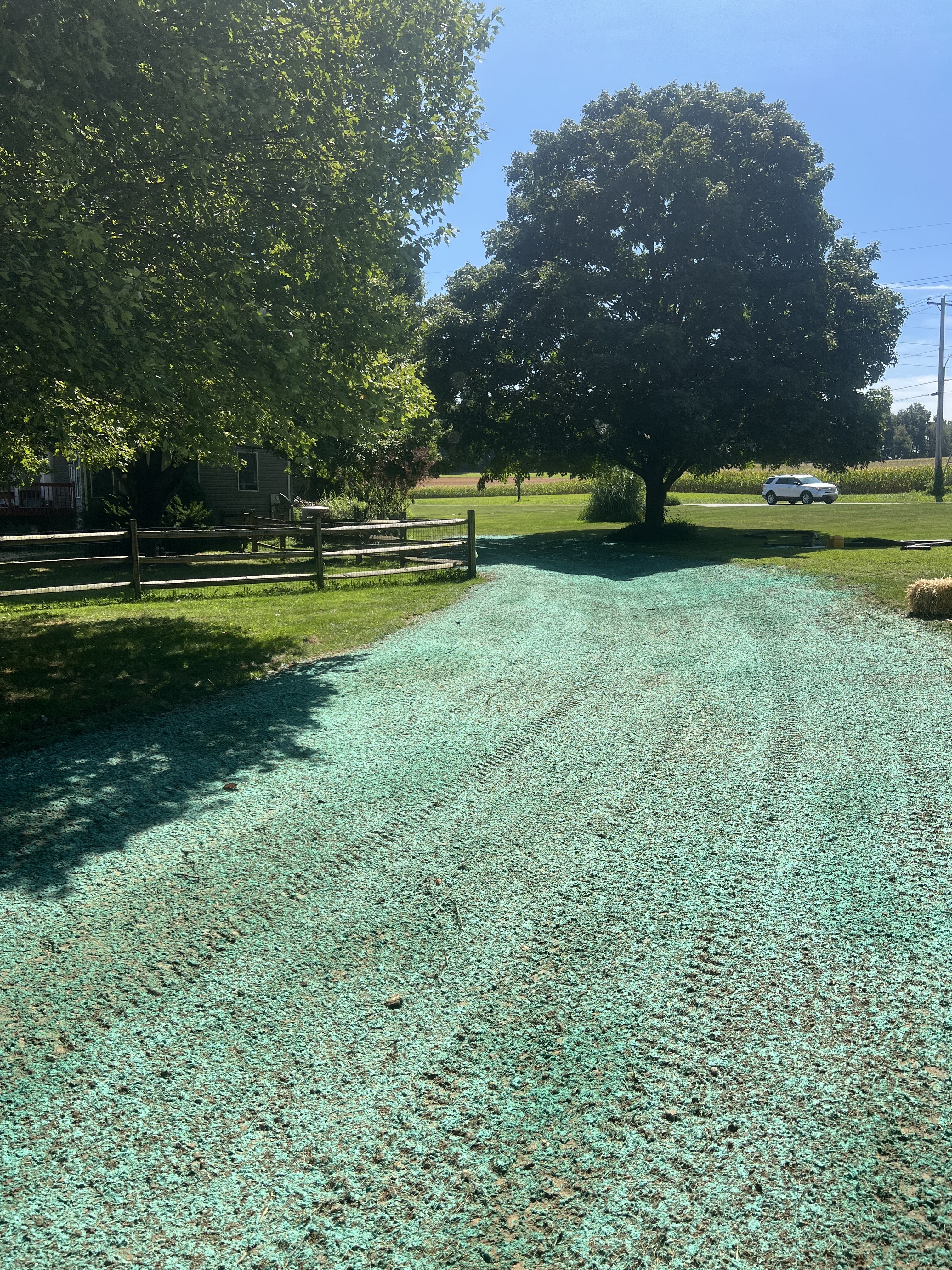 Angelini's Land Management