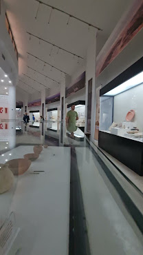 Museum at the Lowest Place on Earth by null
