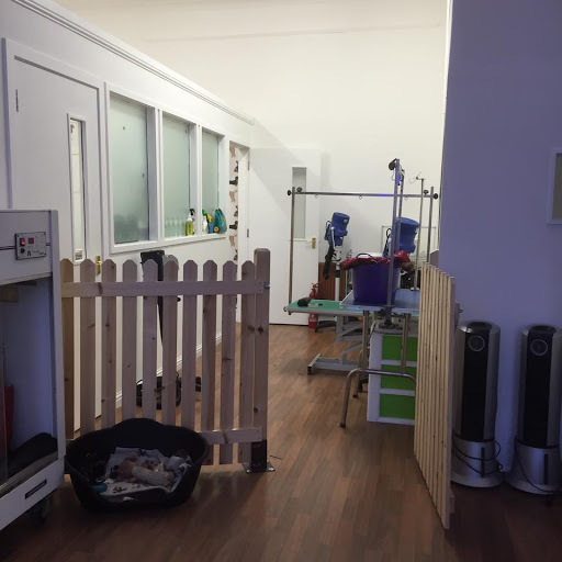 Bow Wow Scotland Dog Grooming Studio Gallery - United Kingdom