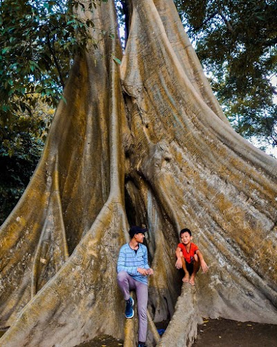 Photos of Umbul Leses