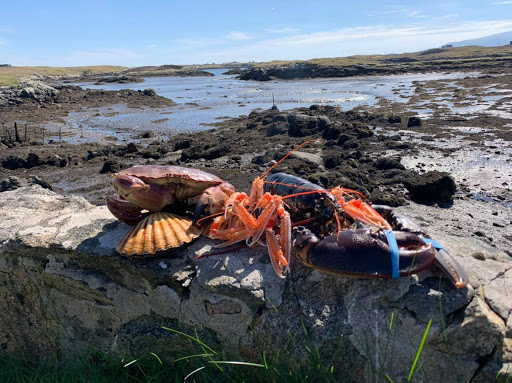 Uist Shellfish - Visual
