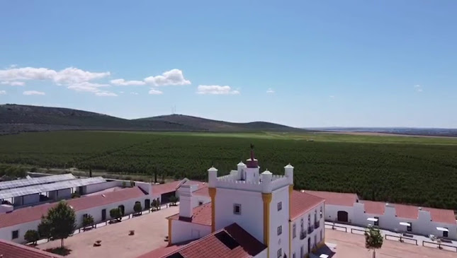 Avaliações doTorre de Palma Wine Hotel, a Member of Design Hotels em Elvas - Spa