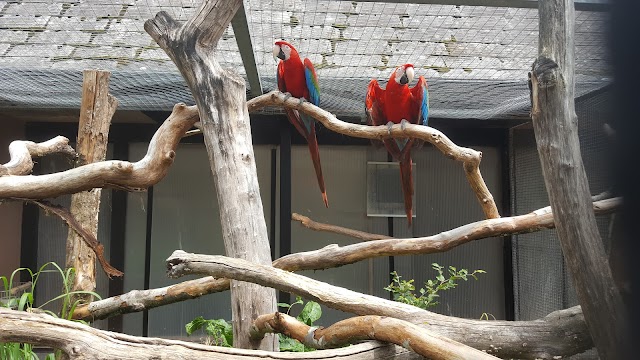 Vogelpark Steinen