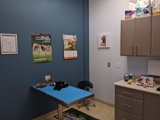 Vimy Bridge Animal Hospital - Thumbnail