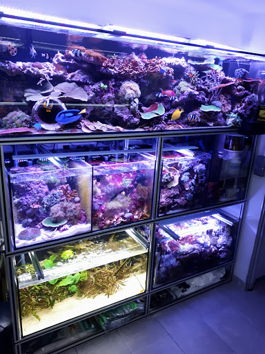 Photo de EAS Paysages Aquatiques