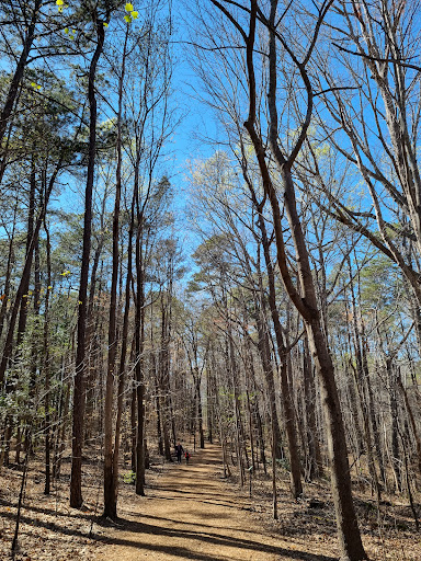 Hemlock Bluffs Nature Preserve - Thumbnail