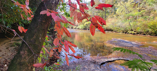 Jasper Alabama Gallery - United States