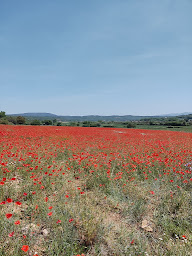 Photo n°25 de La Margottière chez isa et titi à Rians (Chambre d'hôtes)