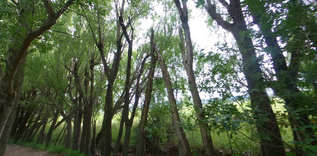 Lincoln Wetlands Phone number