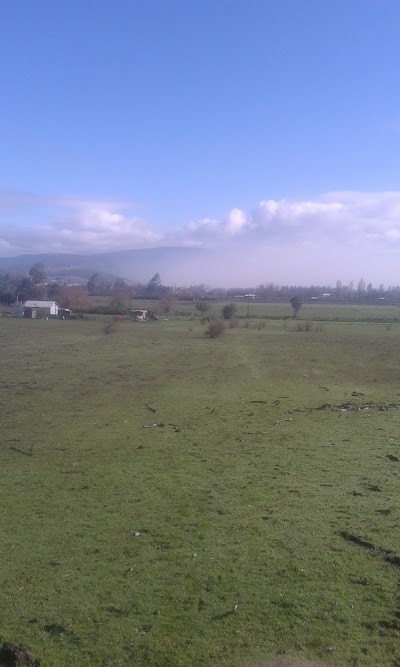 Photos of mansion llanca