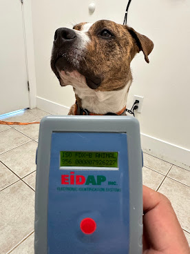 Alpenlofts Veterinary Hospital by null