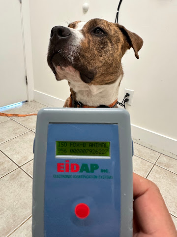 Alpenlofts Veterinary Hospital by null