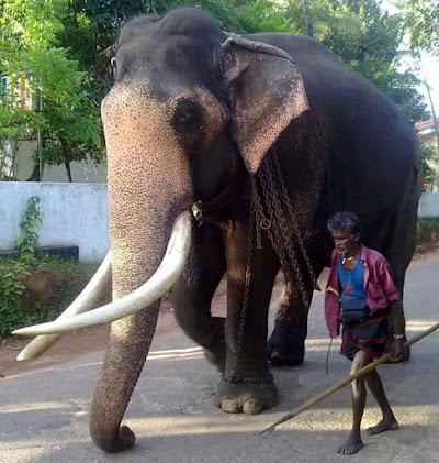 Photos of Main Town Weliweriya