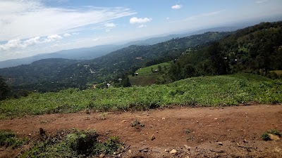 Photos of Golden Africa Kenya Limited