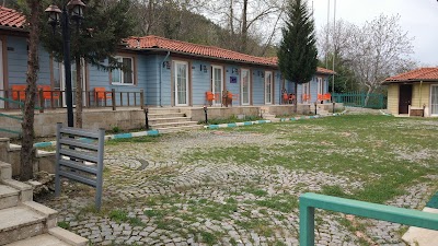 lodging