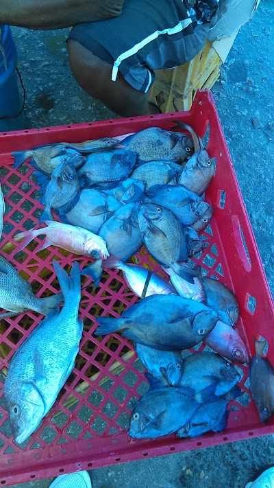 Photos of Paradise Supermarket