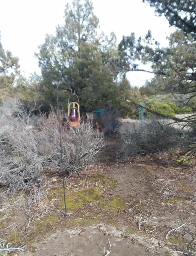 Blue Juniper Camping Grounds - Thumbnail