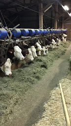 Photo n°5 de GAEC De L'élevage Folie à Autechaux-Roide (Ferme d'élevage)