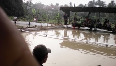 Photos of Maju, Pd