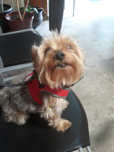 Columbia Belvedere Animal Hospital - Thumbnail