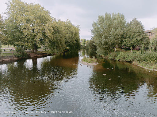 French Weir Park