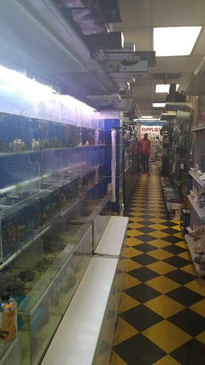 Brooklyn Zoo & Aquarium Pet Store