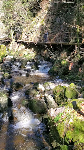 Erfurths Bergfried - Freiburg