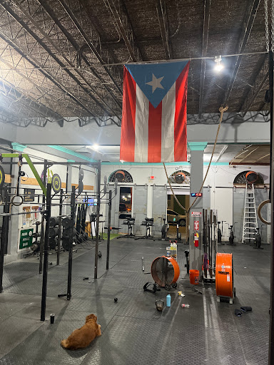 PURA Fitness - Thumbnail