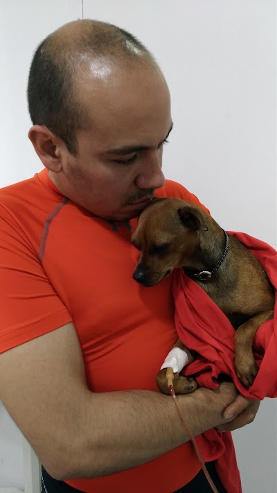 Photos of Vets Santa isabel