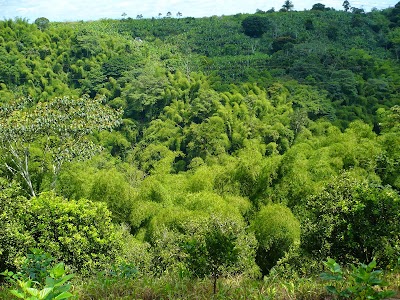 Photos of Park Panaca