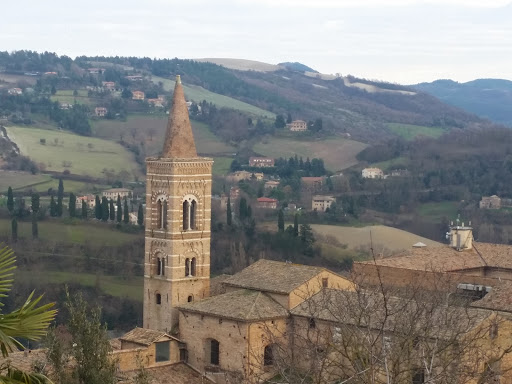 urbino free park and photo shot - Thumbnail