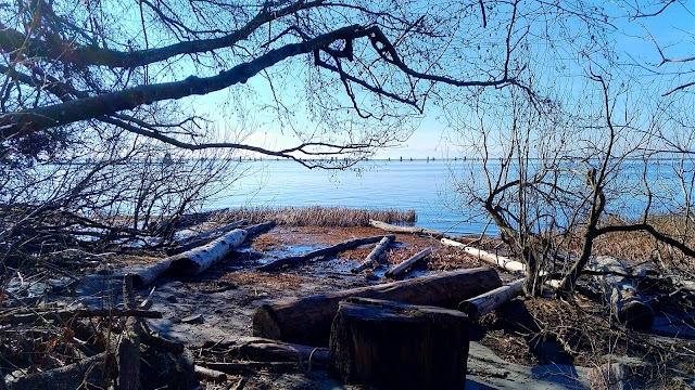 Wreck Beach