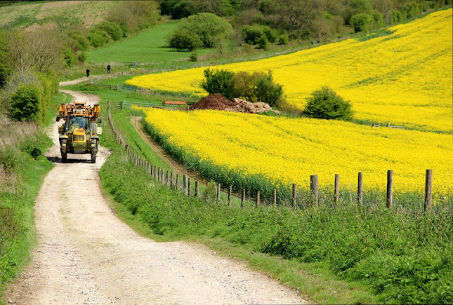 Comments and reviews of Kithurst Hill