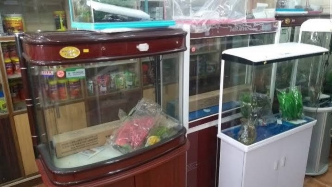 R.K. FISH AQUARIUM Aquarium Shop in Arya Nagar