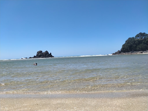 Opoutere Beach Public Park. - Thumbnail