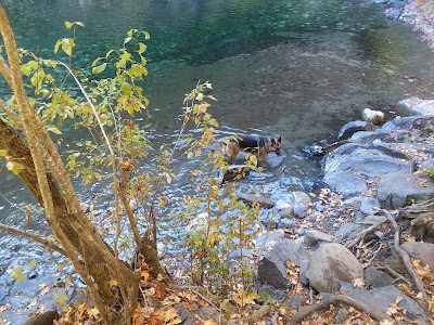 Bridge Camp Campground