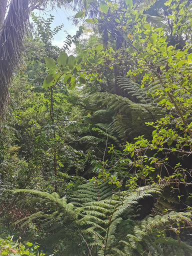 Te Anau Park - Thumbnail