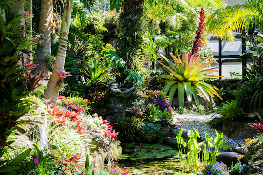 Ricandi Studio Gallery & Gardens